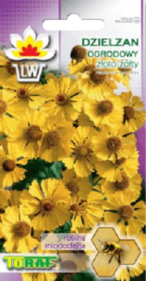 Dzielżan złoto-żółty nasiona 0,5 g.