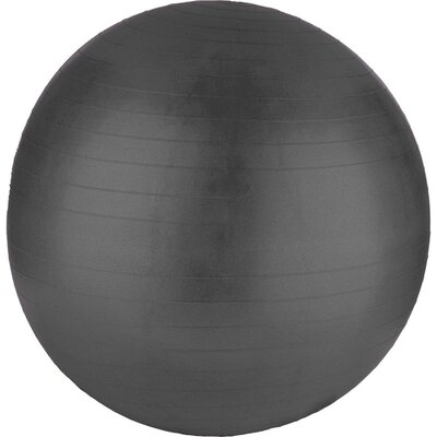 Piłka gimnastyczna XQMAX Antiburst Szary (65cm)
