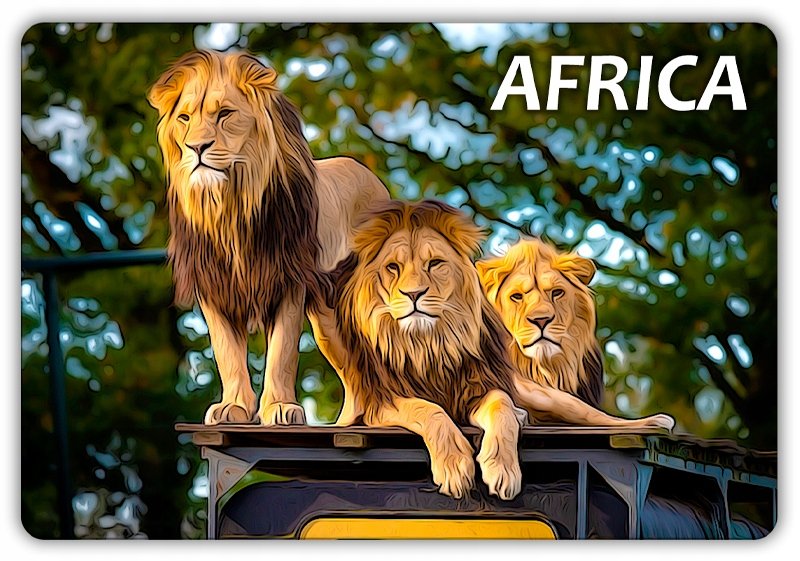 Afryka - Lew - Zwierzęta - Magnes Na Lodówkę