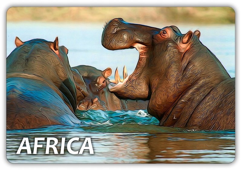 Afryka - Hipopotam - Zwierzęta - Magnes Na Lodówkę