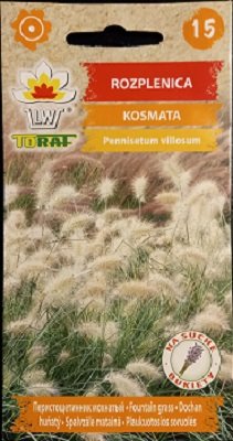 Rozplenica kosmata 12 szt. nasion na bukiety