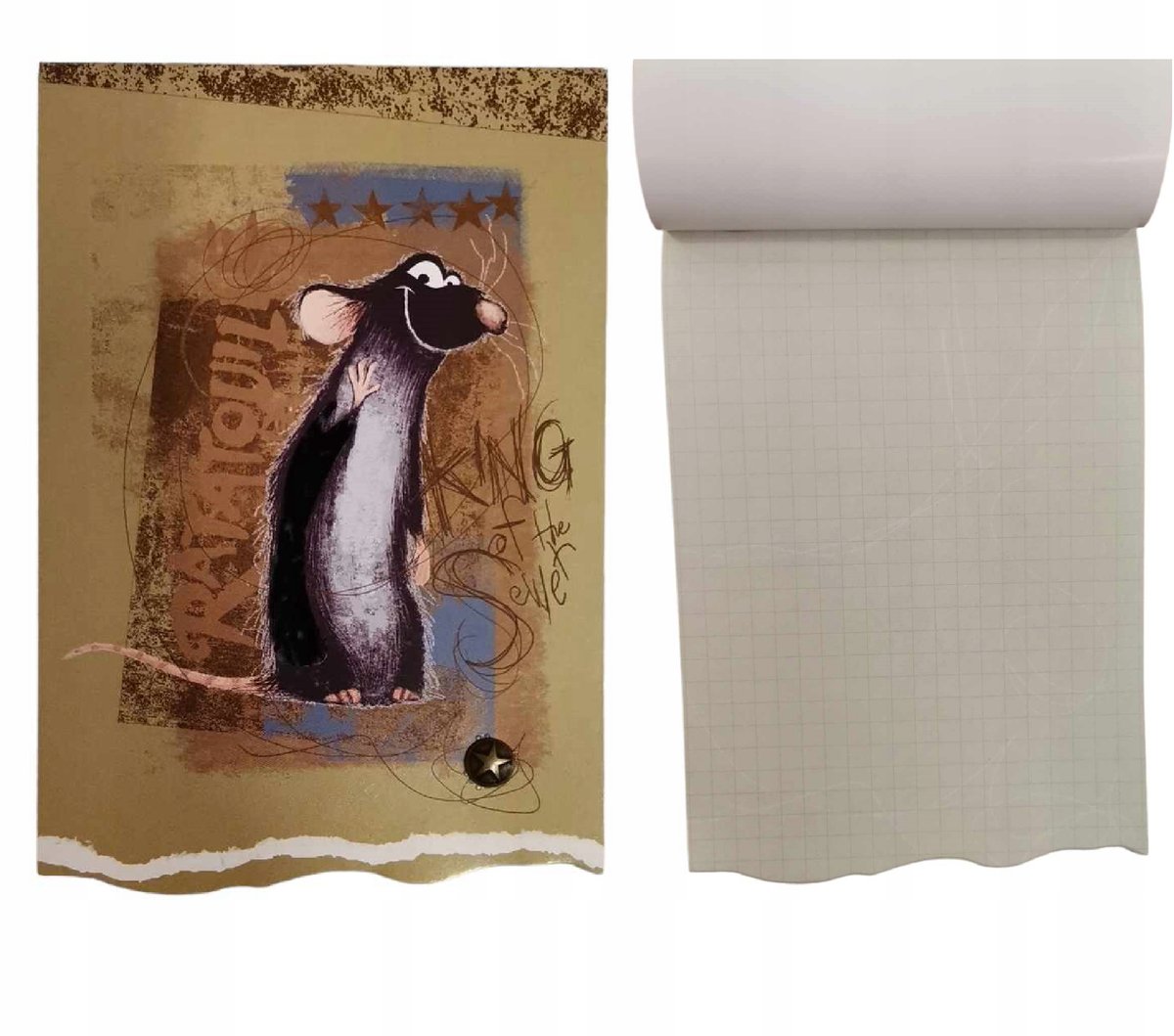 BENIAMIN NOTES NOTATNIK A6/30 KARTEK KOLOROWE KARTKI RATATOUILLE