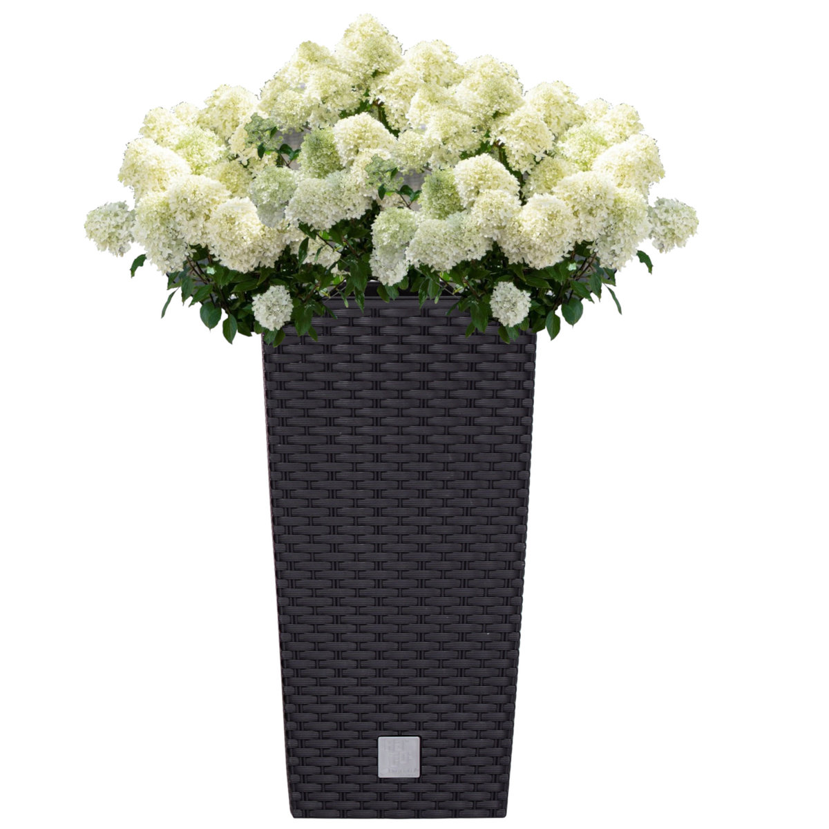 Doniczka wysoka wkład rattan 22,5x22,5x42,1 cm antracytowy