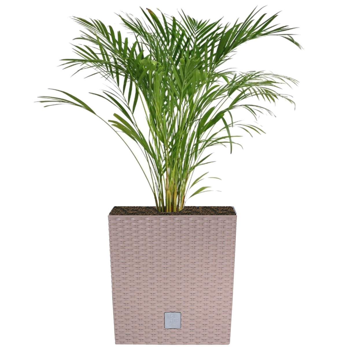 Doniczka kwadratowa wkład rattan 32x32x32,5 cm mocca