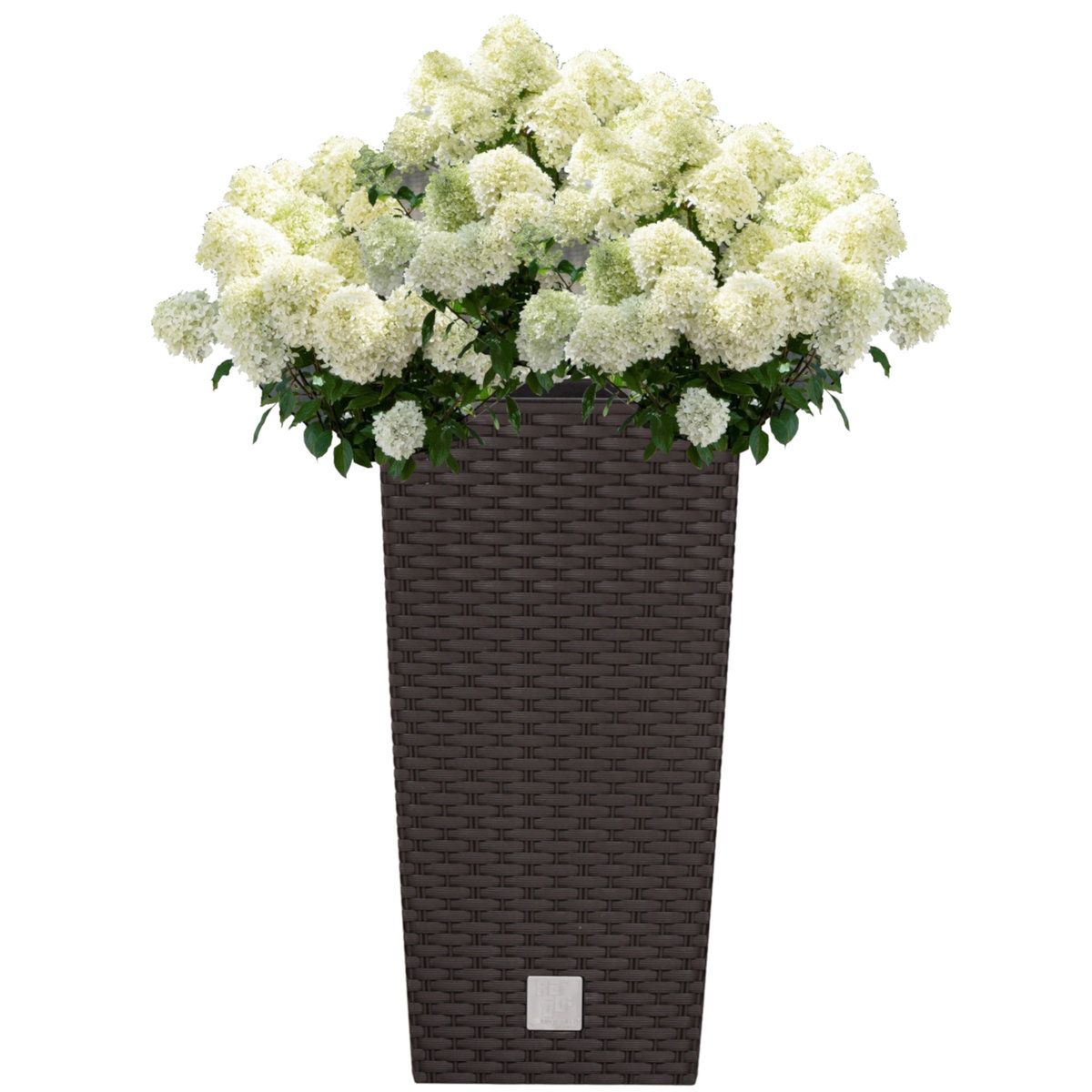 Doniczka wysoka wkład rattan 32,5x32,5x61 cm umbra