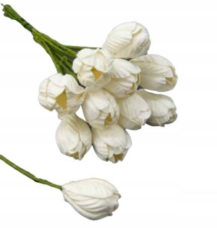 KWIATY papierowe TULIPANY białe - 50szt