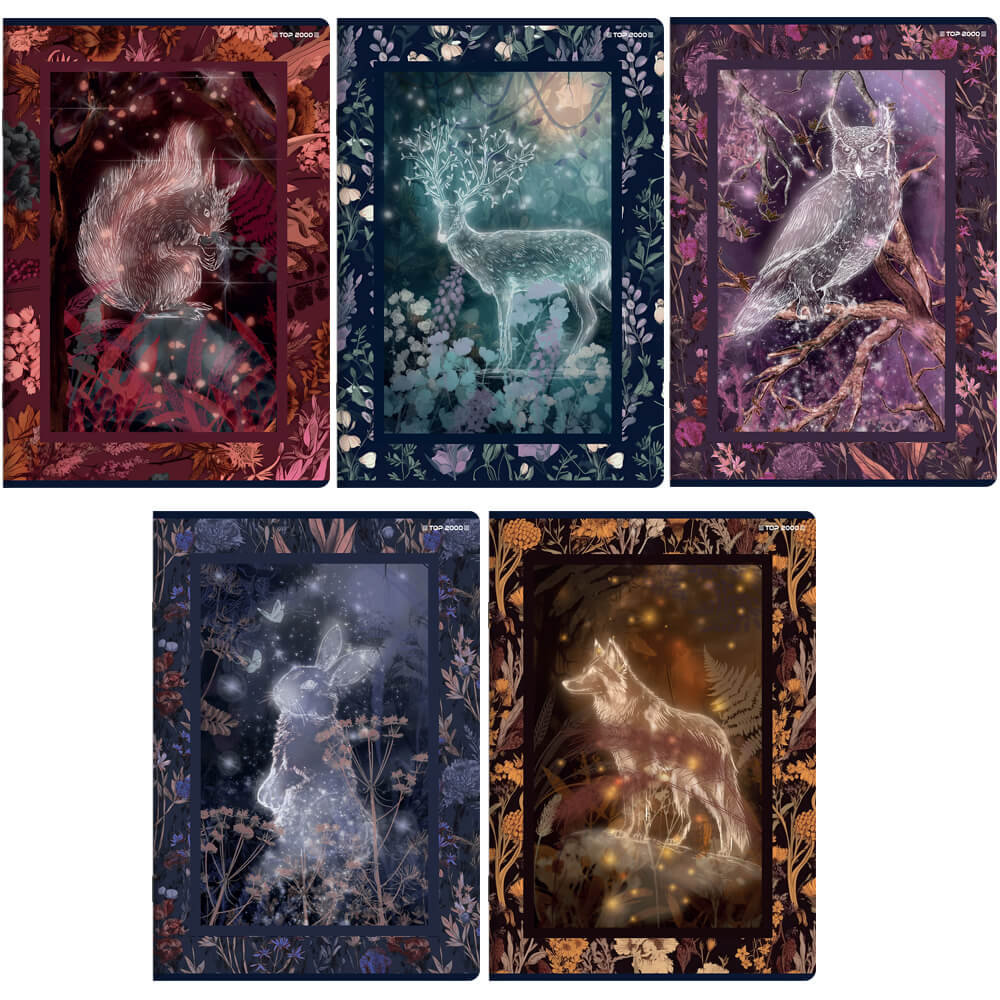 5x ZESZYT TOP 2000 A5 60 KARTEK FAIRYTALE KRATKA KAŻDY INNY