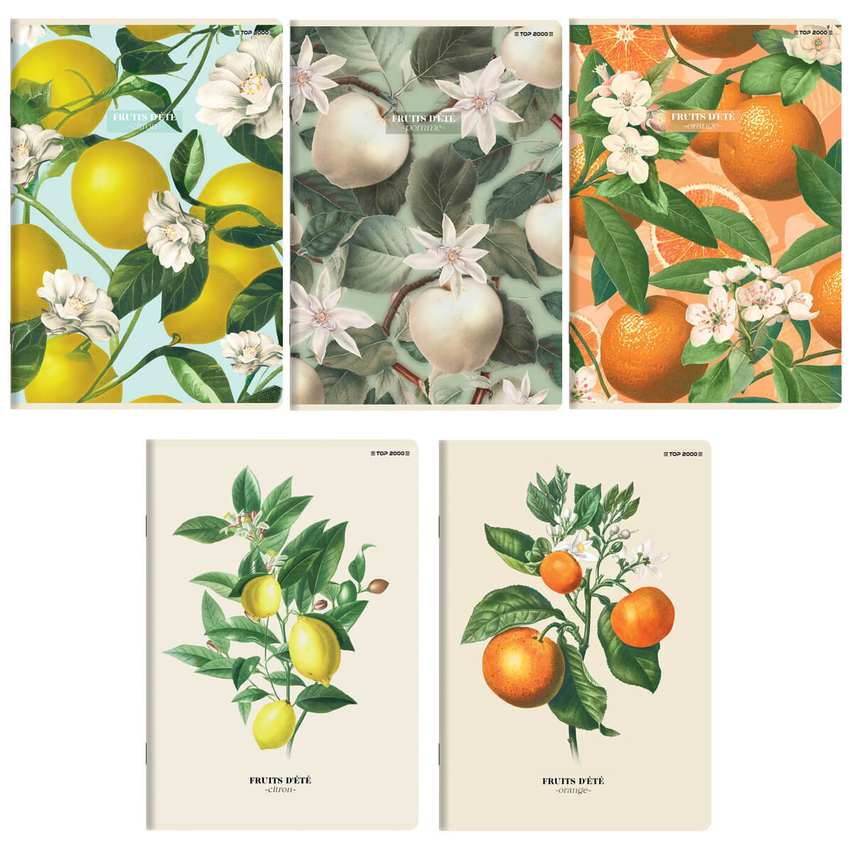 5x ZESZYT TOP 2000 A5 60 KARTEK SUMMER HARVEST CLUB KRATKA KAŻDY INNY