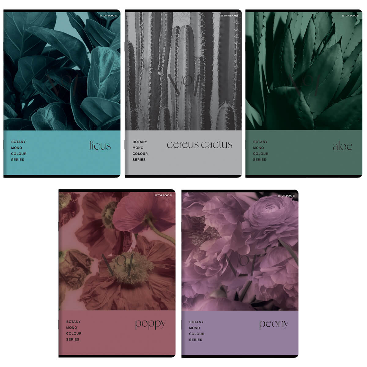 5x ZESZYT TOP 2000 A5 80 KARTEK BOTANY KRATKA KAŻDY INNY