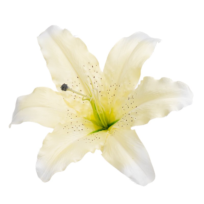 Lilia wyrobowa 25cm O191-025 G2 sztuczna główka lilii