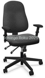 Krzesło OFFIX TS25 R15G-3 C38 w magazynie