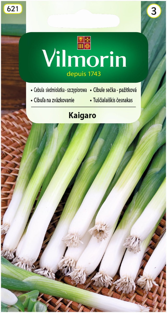 Cebula siedmiolatka Kaigaro nasiona 2g Vilmorin