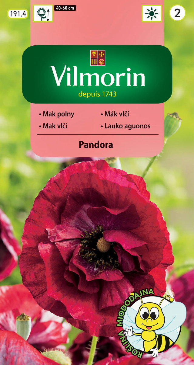 Mak polny Pandora nasiona 0,1g Vilmorin