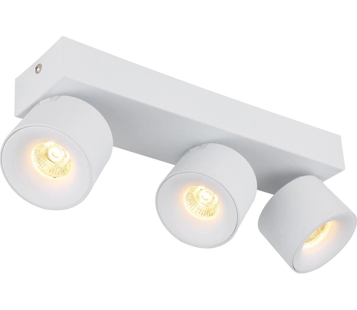 Globo 56961-3W - LED Oświetlenie punktowe RAE 3xLED/6W/230V biały