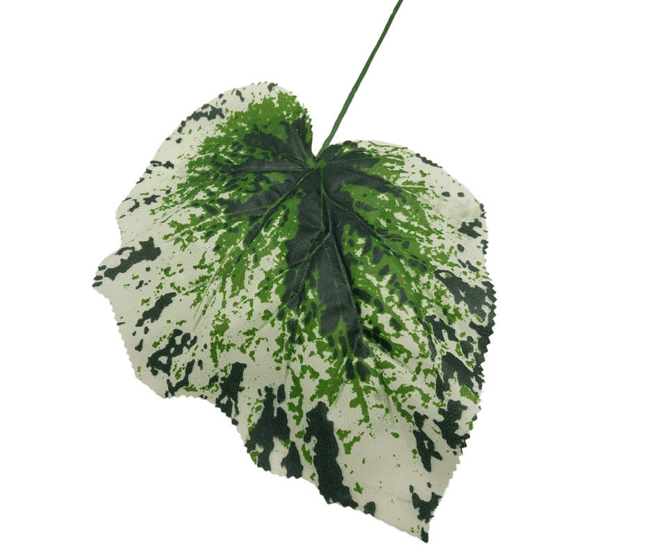 LIŚĆ BEGONIA 478-01 Paczka 12szt.