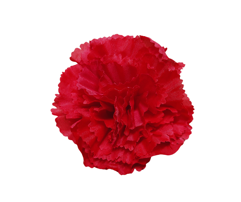 Goździk Wyrobowy K087 Paczka 24szt.