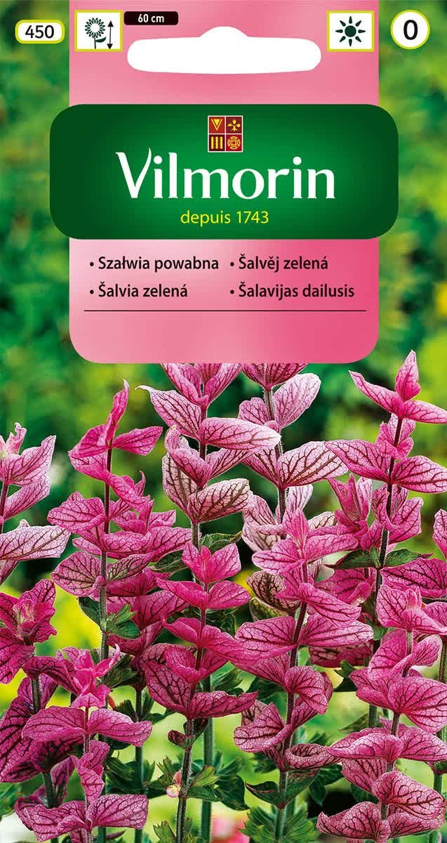 Szałwia powabna różowa nasiona 0,5g Vilmorin