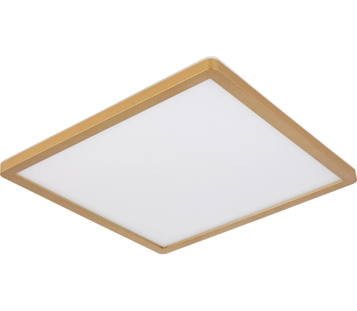 Globo 41563-18MM-LED Ściemnialny plafon łazienkowy SAPANA LED/18W/230V IP44