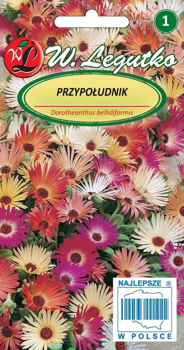 Przypołudnik mieszanka nasiona