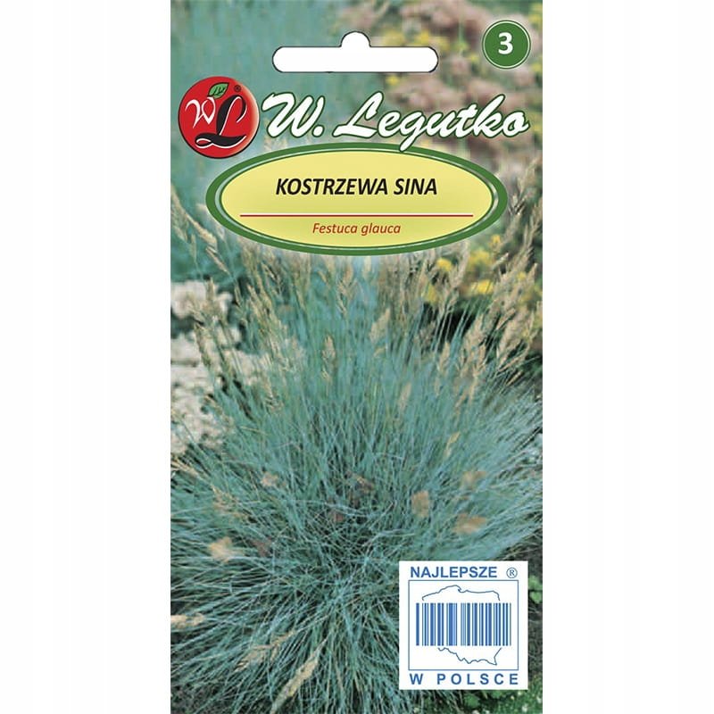 Kostrzewa sina - srebrzystoniebieska nasiona 0,2kg
