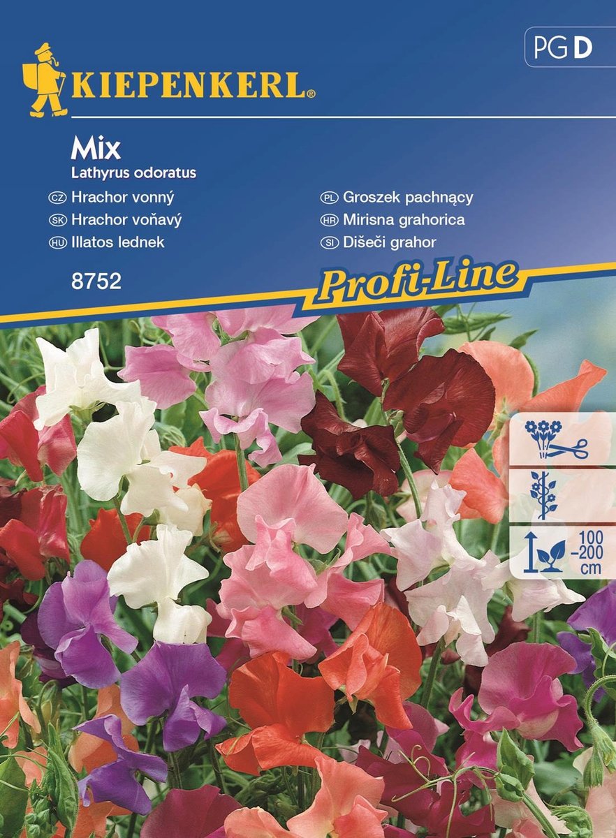 Groszek Pachnący Mix - Nasiona - Kiepenkerl