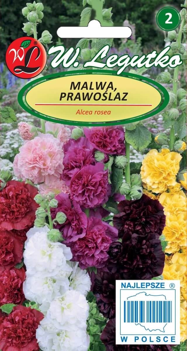 Malwa, Prawoślaz Chater's mieszanka