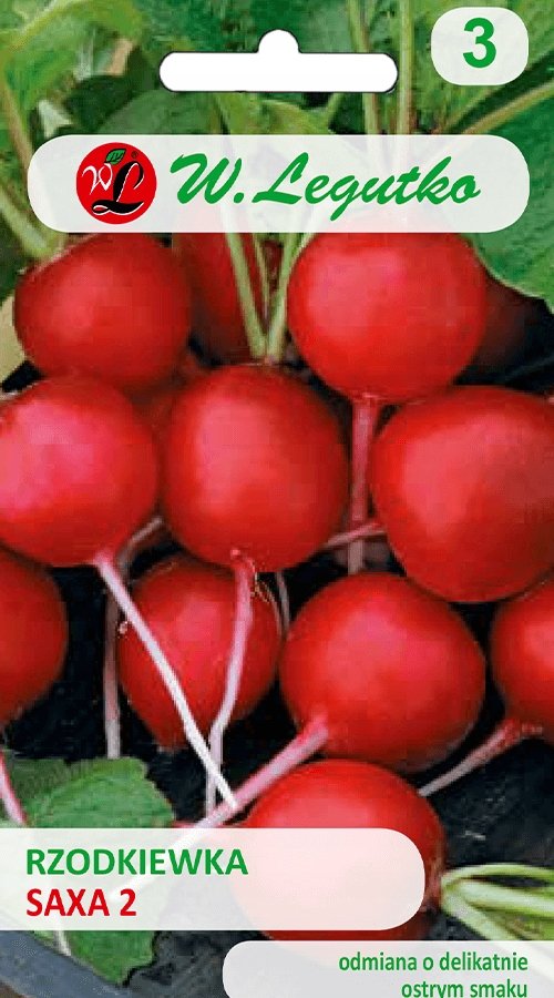 Rzodkiewka Saxa - Okrągła Legutko Nasiona