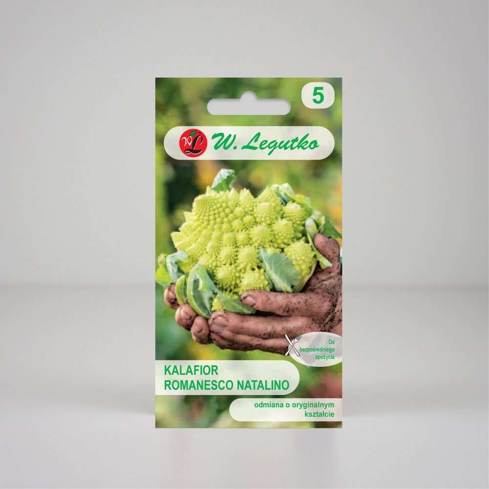 Kalafior Romanesco natalino Zielony 1g - Nasiona - W. Legutko