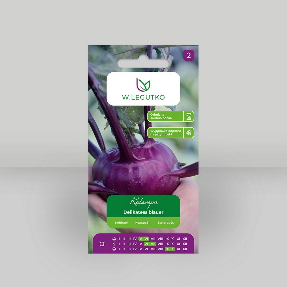 Kalarepa Delikatess blauer Fioletowa 2g - Nasiona - W. Legutko