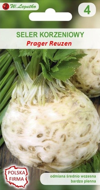 Seler 'Prager Reuzen' nasiona 1 g legutko