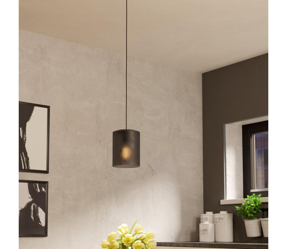 Eglo 901162 - Żyrandol na lince COLOMERA 1xE27/40W/230V szary