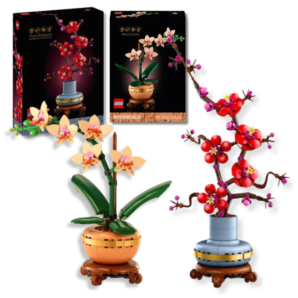 LEGO Botanicals Kwiatowy Prezent Klocki Zestaw Kwiat Śliwy i Orchidea Walentynki