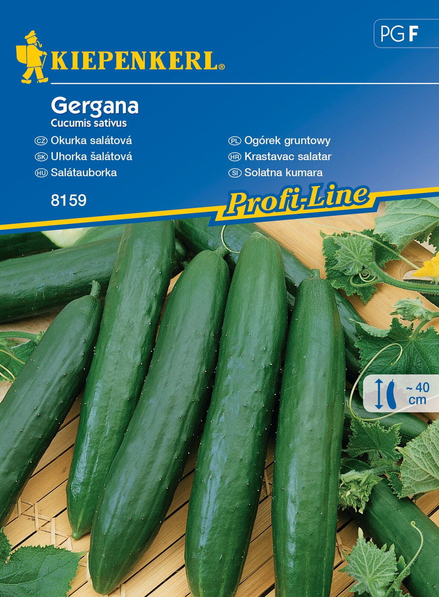 Ogórek Gruntowy Gergana 8159 (St)