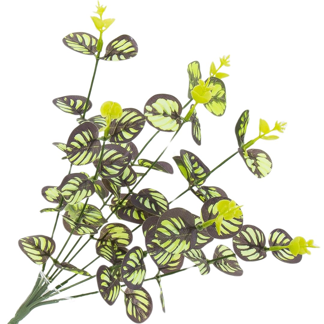 [68U352] Bukiet Eukaliptusa Cieniowany 33Cm