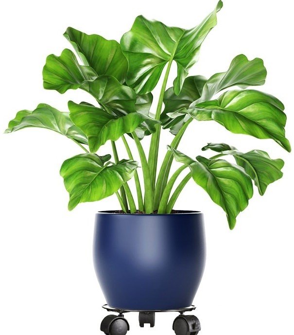 Podstawka na kółkach pod donice 25 cm PLANTA