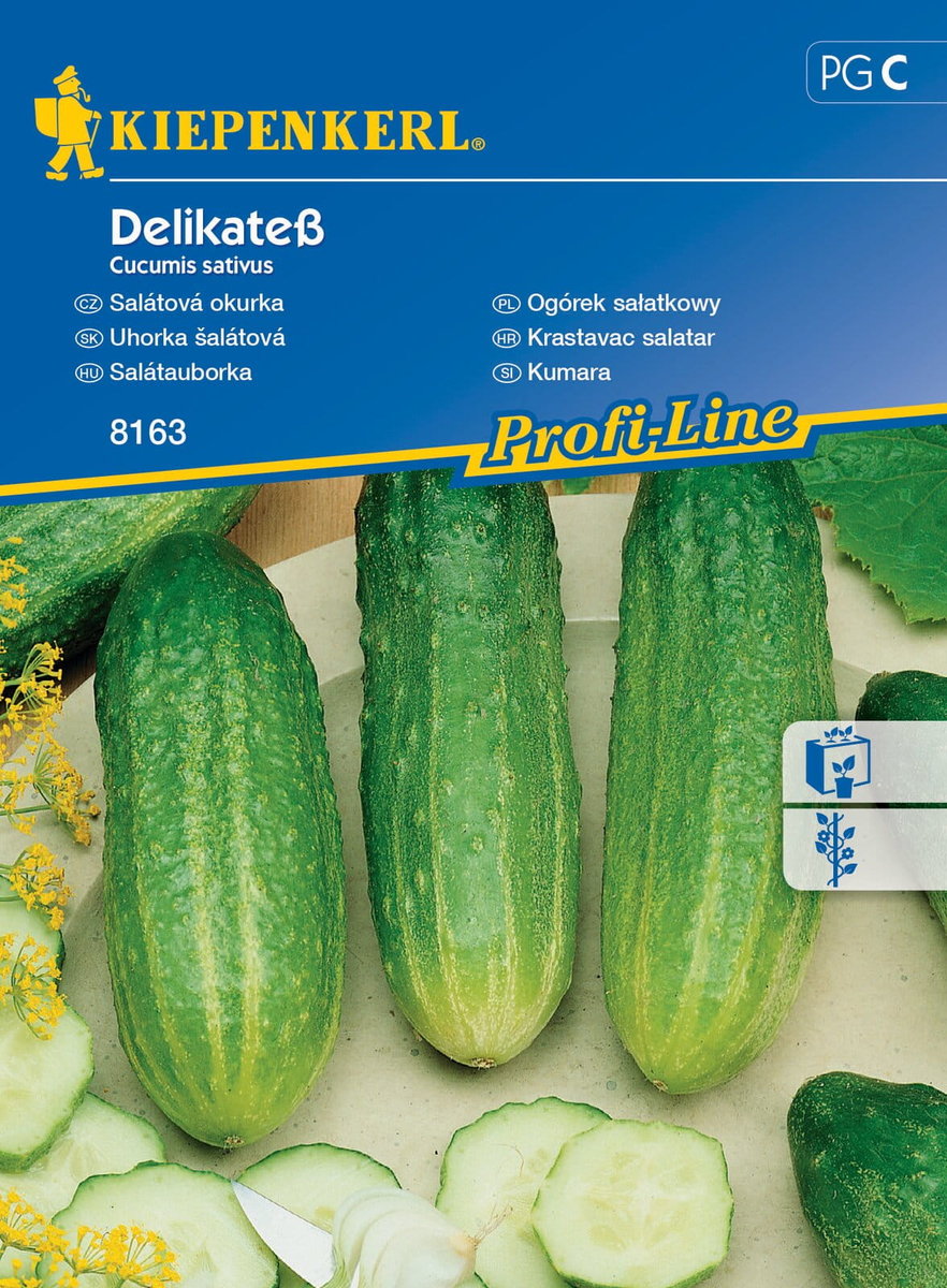 Ogórek Sałatkowy Delikateß 8163 (St)
