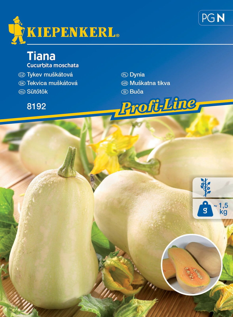 Dynia Tiana F1 8192 (St)