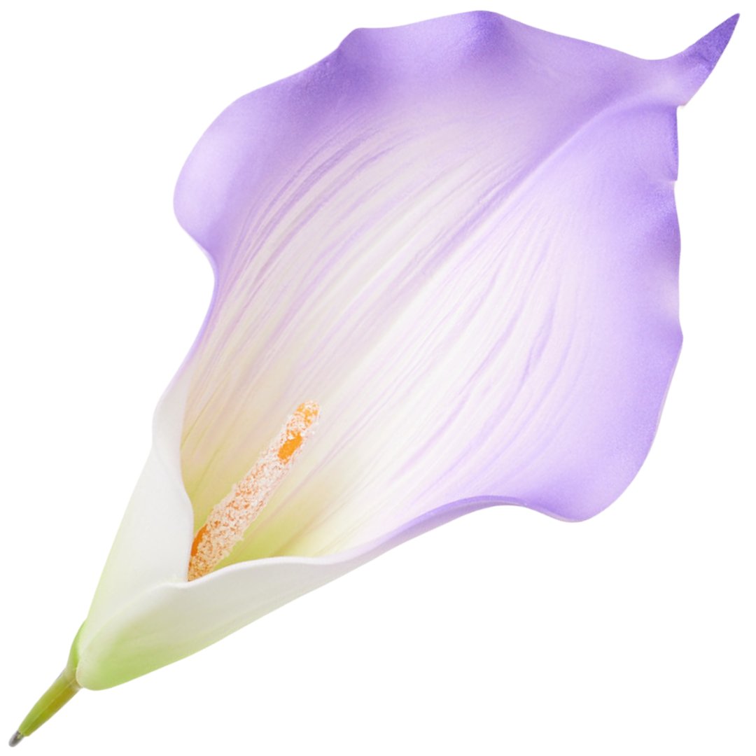 [68B6215] Główka Kwiatowa Kalla Duża Fioletowa Z Białym Środkiem 22Cm