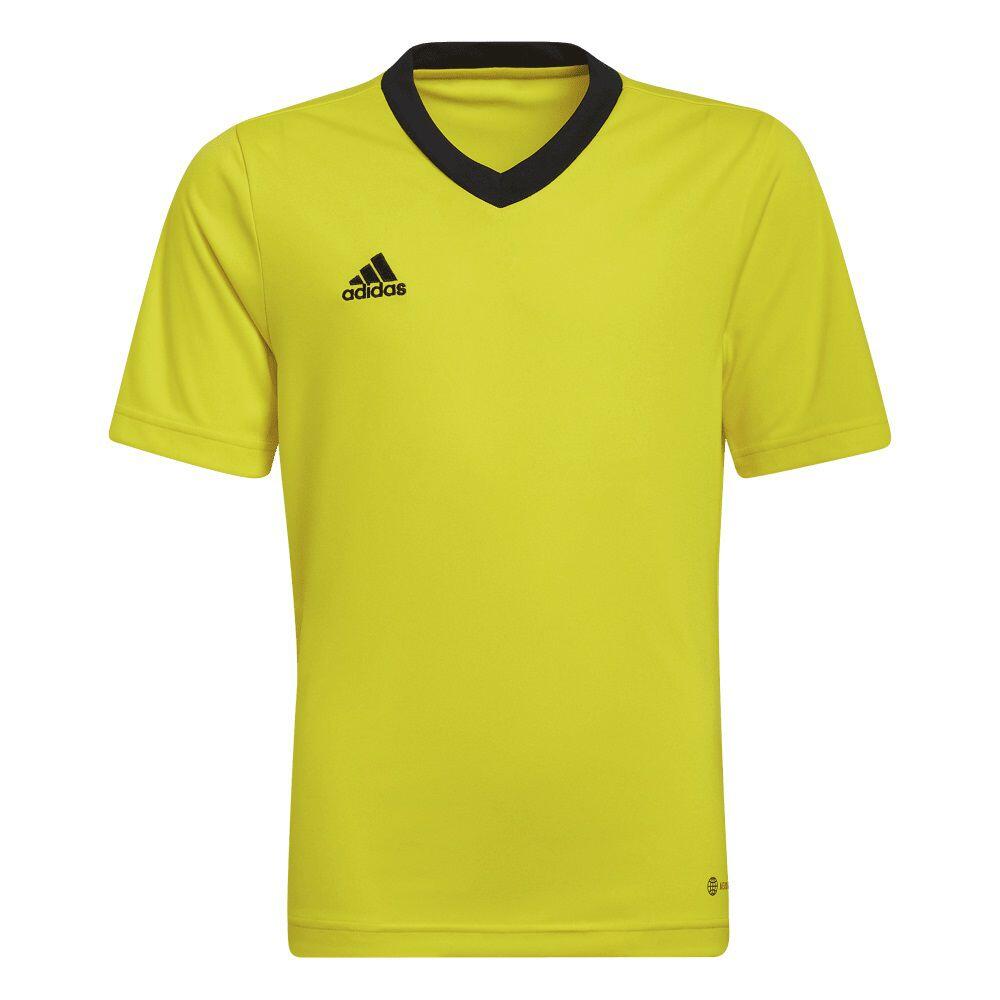 Koszulka adidas ENTRADA 22 JSY Y HI2127, 176 cm