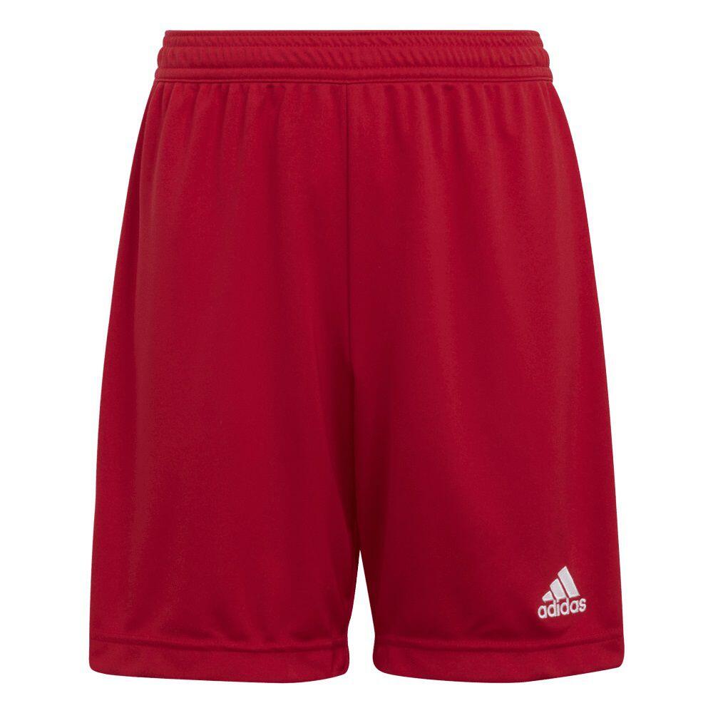 adidas Entrada 22 chłopięce spodenki piłkarskie
