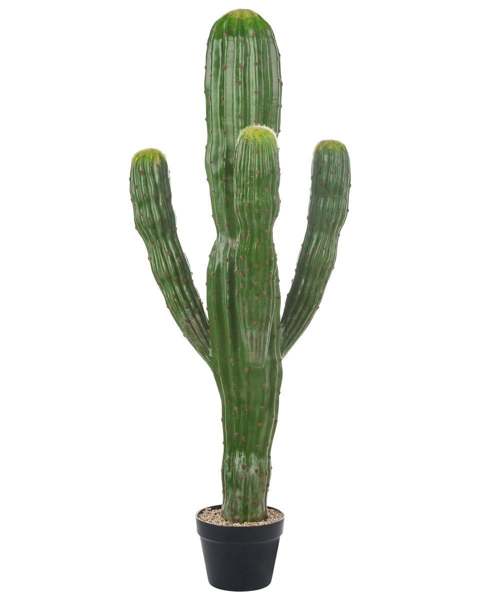 Sztuczna roślina MAROCCO CEREUS Zielony