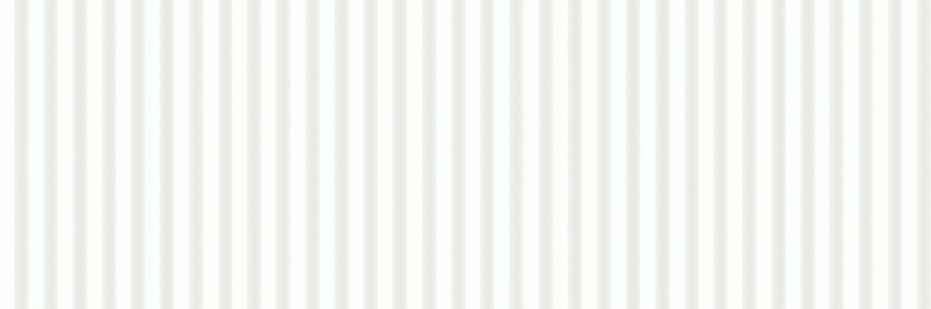 Gres Snowline Wt1149 White Structure Satin Rect 39,8X119,8