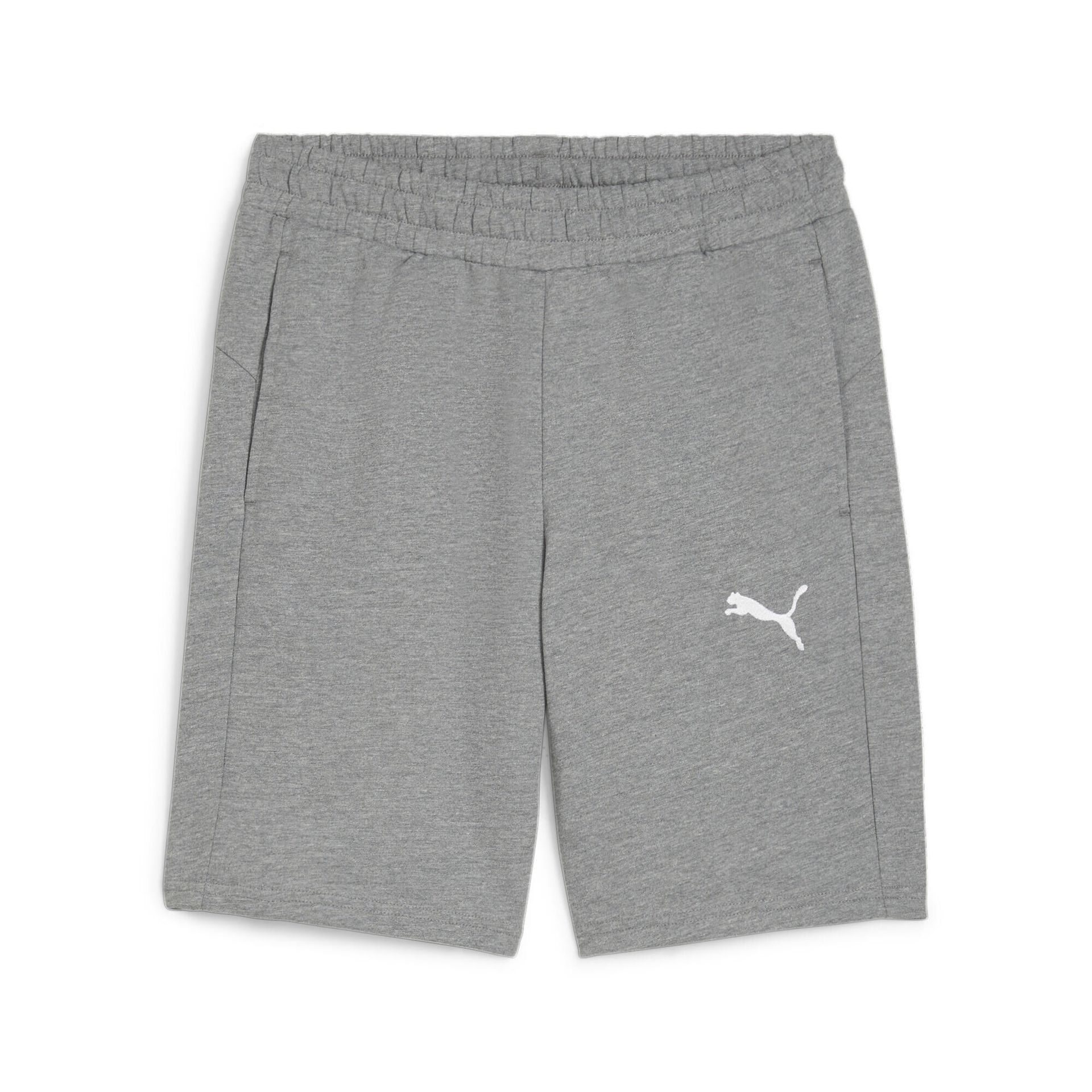 Spodenki sportowe męskie Puma teamGOAL Casuals
