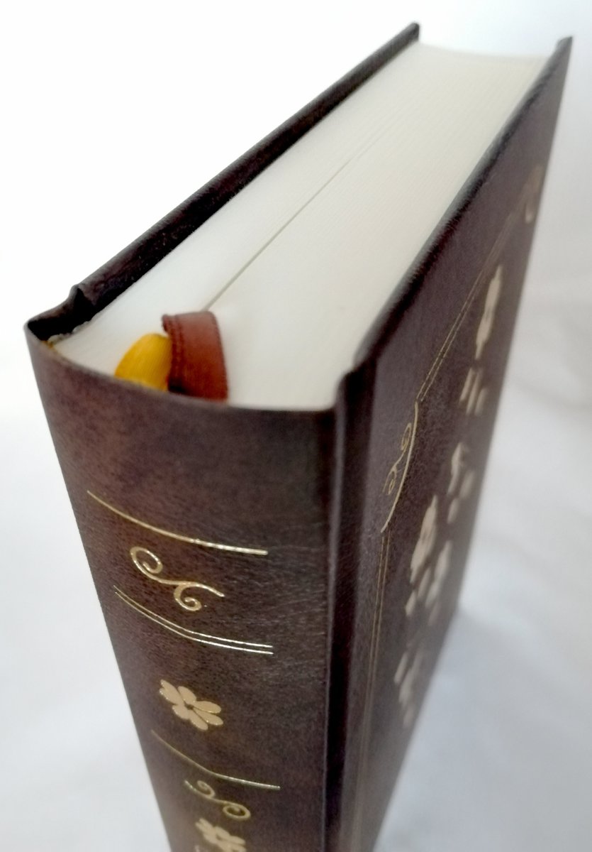 Notatnik Pamiętnik DIARIO 350 Stron Linie A5 Szyty Ciemny Brąz Złocony