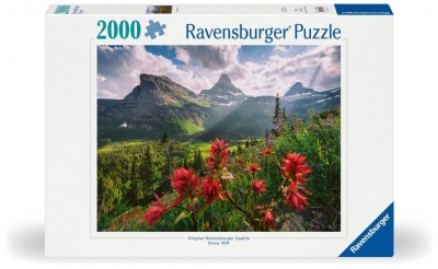 Ravensburger, Puzzle 2000: Krajobraz (12001415). Wiek: 14+