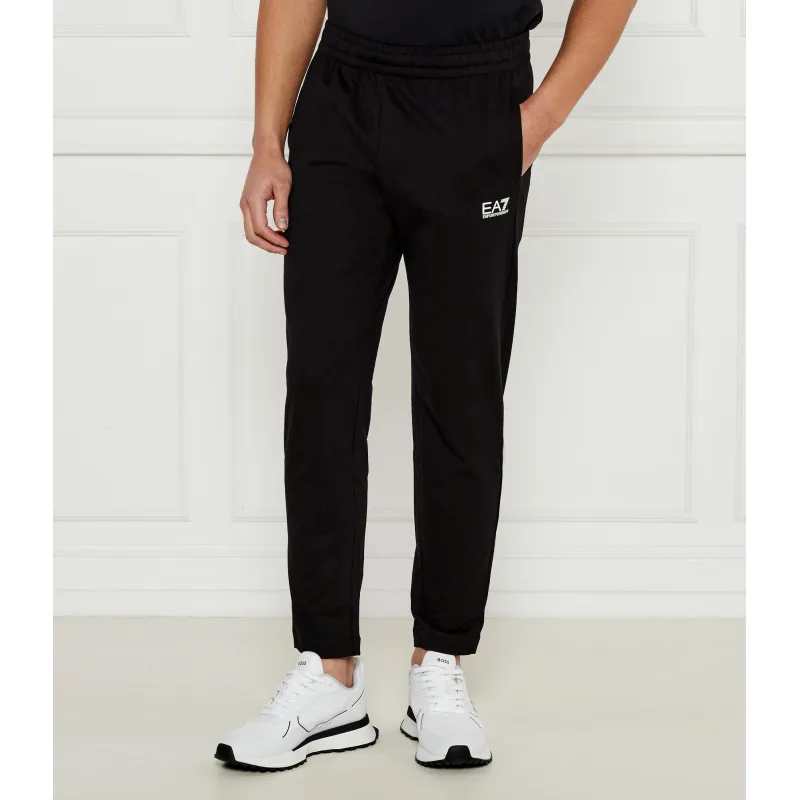 EA7 Spodnie dresowe | Regular Fit