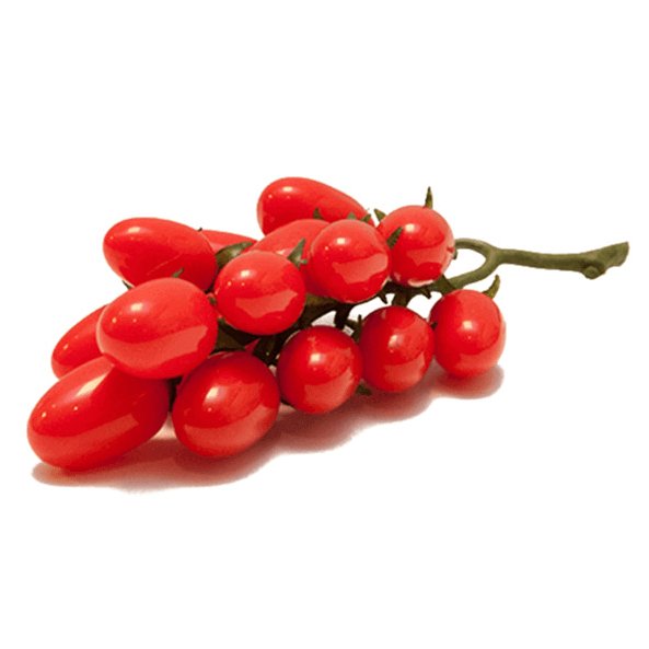 Pomidor sztuczny na gałązce