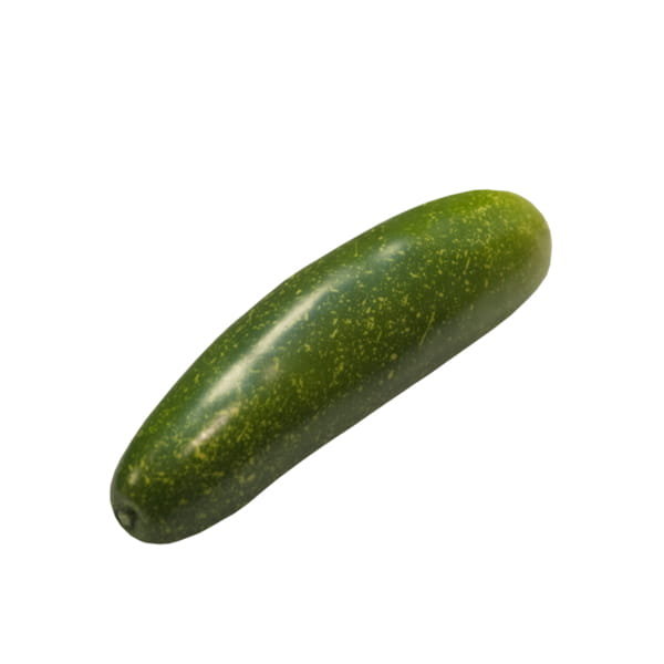 Ogórek sztuczny