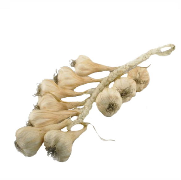Czosnek sztuczny warkocz wiszący