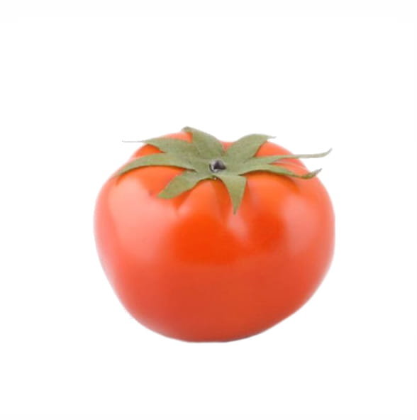 Pomidor sztuczny